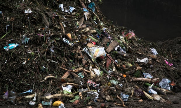 Australia’s food waste skyrockets amid Covid panic buying