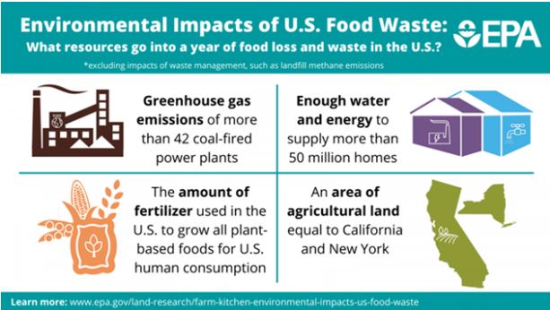 New EPA Report Highlights Climate Impacts of Wasted Food