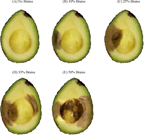 How to Pick and Store Avocados